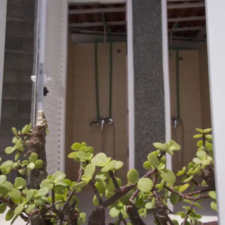 Eras Nest 호스텔 *